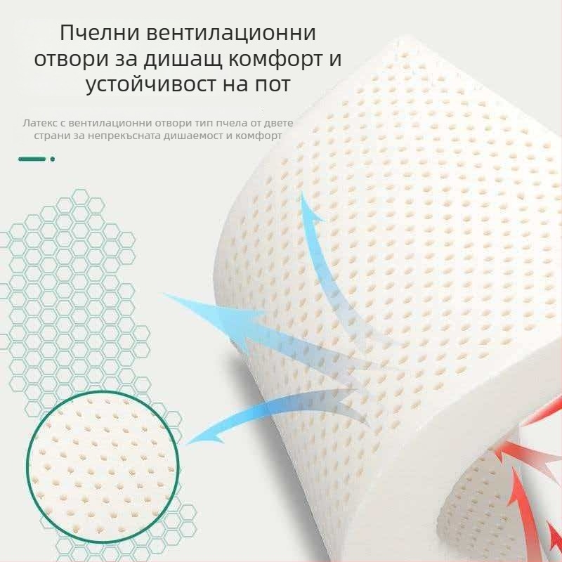 Латексна възглавница правоъгълна с ядро, подаръчна кутия; за възрастни; височина 5–10 см; тегло 0,5–1,0 кг; плат: измит памук; латекс: синтетичен; подходяща за всички сезони; за всички позиции на сън.