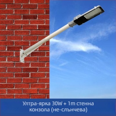 Соларен уличен стълб за осветление с монтажен държач и стенна скоба, дебела галванизирана стоманена тръба, модел FJN080, 495×215×60 мм, LED 30W, 220V