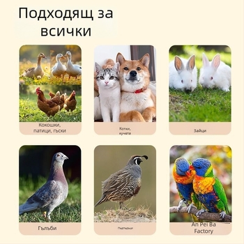 Автоматична кофа за вода и храна за птици и домашни животни (пилета, патици, гъски, птици, зайци, котки, кучета)