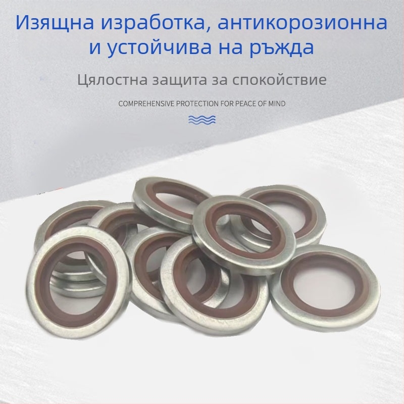 Британски стандарт флуоркаучукова уплътнителна шайба с фиксиран ядрен уплътнителен пръстен за съединители