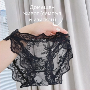 Дамски дантелени бикини с ниска талия, дишащи, памучна подплата
