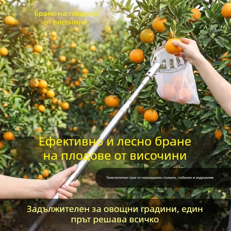 Мултифункционален плодозбирач от неръждаема стомана за високи дървета, подходящ за фермери и работа на открито