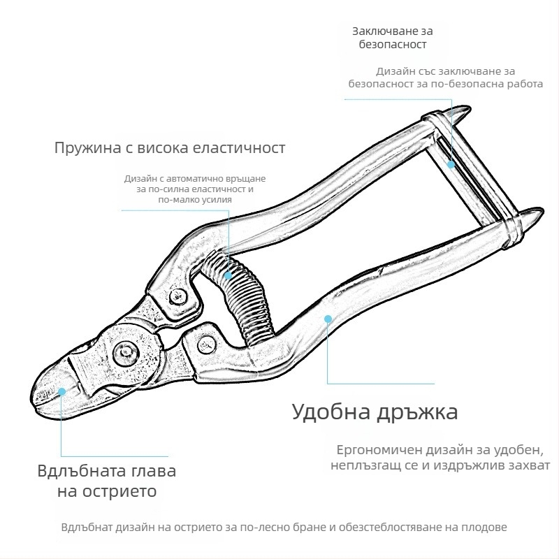 Ножици за цитрусови плодове с форма на гнездо, ножици за беритба на домати, ножици за портокали Навел, ножици за дървета и плодови дървета, ножици за беритба на плодове, тънки ножици за плодове