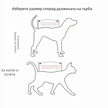 Облекло за домашни любимци с татуиран дизайн, дишащо, против изпадане на козината, за четири крака, персонализирано и забавно.