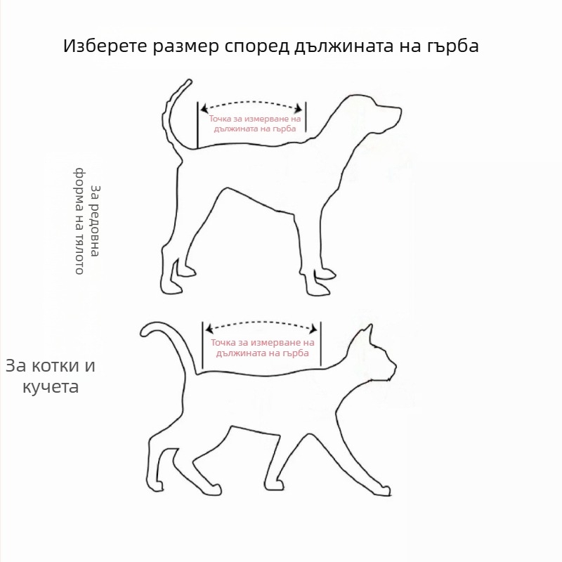 Облекло за домашни любимци с татуиран дизайн, дишащо, против изпадане на козината, за четири крака, персонализирано и забавно.