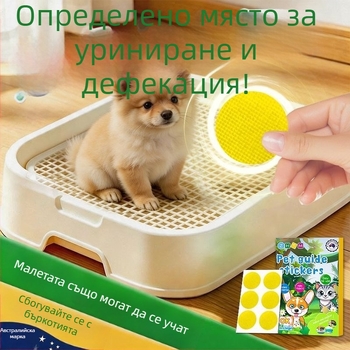 Уред за тоалетно обучение на кучета за Бишон Фризе — насърчава дефекацията и уринирането в определено място и предотвратява бъркотия