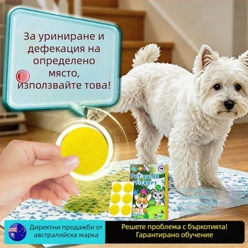 Уред за тоалетно обучение на кучета за Бишон Фризе — насърчава дефекацията и уринирането в определено място и предотвратява бъркотия