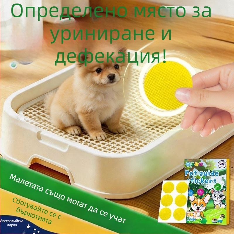 Уред за тоалетно обучение на кучета за Бишон Фризе — насърчава дефекацията и уринирането в определено място и предотвратява бъркотия