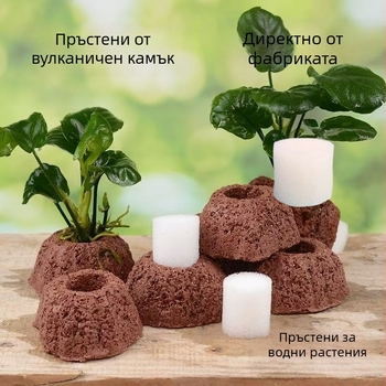 Вулканичен камък пръстен за водни растения – дупчен пръстен за засаждане с фиксирана основа и потъващ пръстен за аквариумно оформление