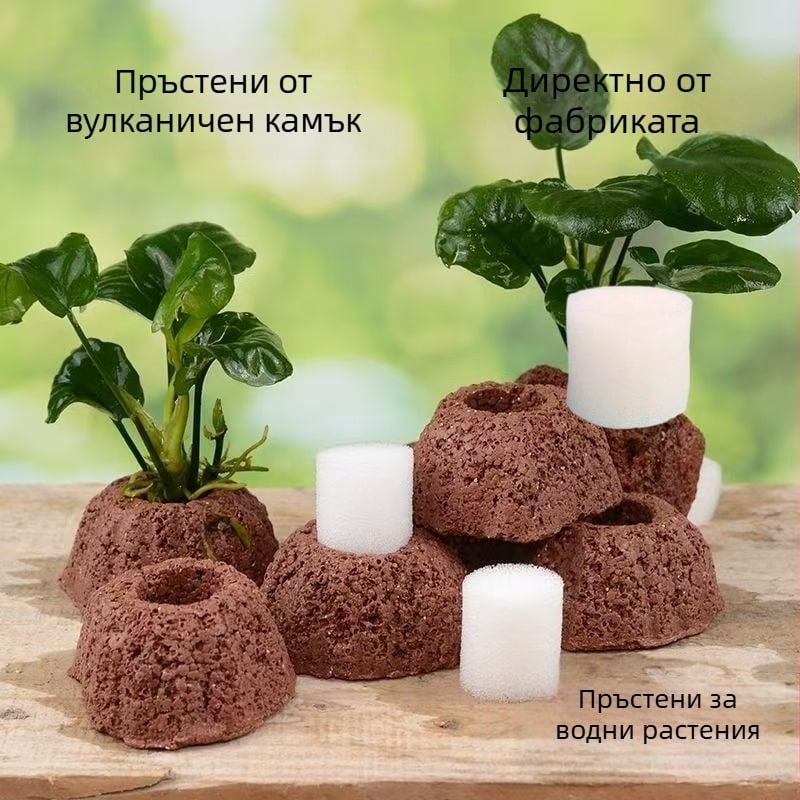 Вулканичен камък пръстен за водни растения – дупчен пръстен за засаждане с фиксирана основа и потъващ пръстен за аквариумно оформление