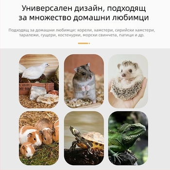Дървена играчкова къщичка с стълба за хамстери и малки животни; дървени декоративни елементи за мини ландшафт и пълен набор от хамстер принадлежности