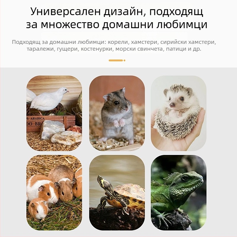 Дървена играчкова къщичка с стълба за хамстери и малки животни; дървени декоративни елементи за мини ландшафт и пълен набор от хамстер принадлежности