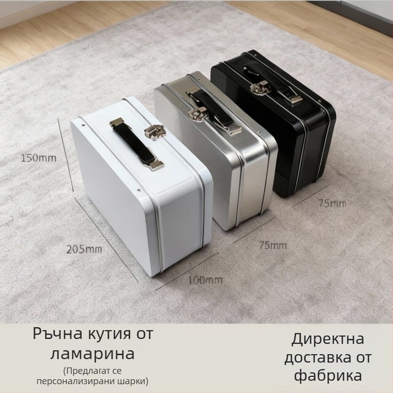 Метална кутия за обяд с дръжка и заключващ се капак, компактна ламаринова кутия за подаръци, запечатана и преносима