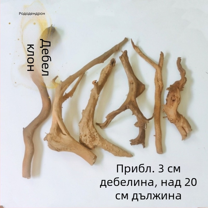 Аквариумен ландшафт комплект: корени рододендрон, потънал дървен материал, дебели и тънки клони и водна растителност