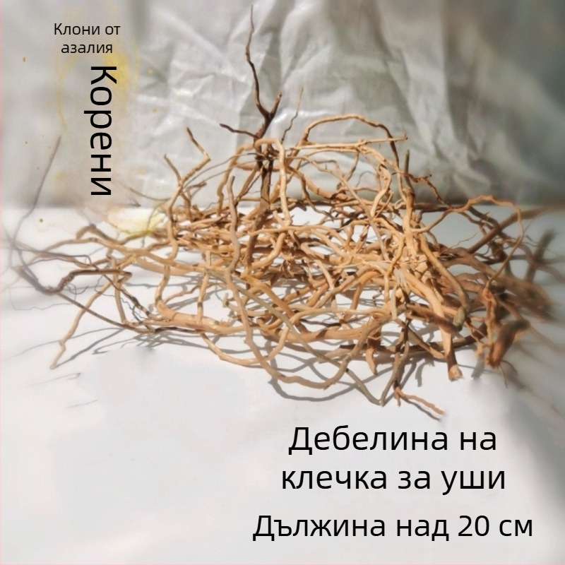 Аквариумен ландшафт комплект: корени рододендрон, потънал дървен материал, дебели и тънки клони и водна растителност