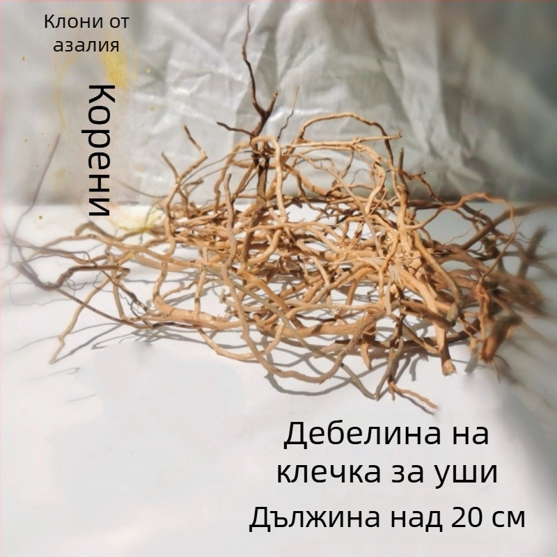 Аквариумен ландшафт комплект: корени рододендрон, потънал дървен материал, дебели и тънки клони и водна растителност