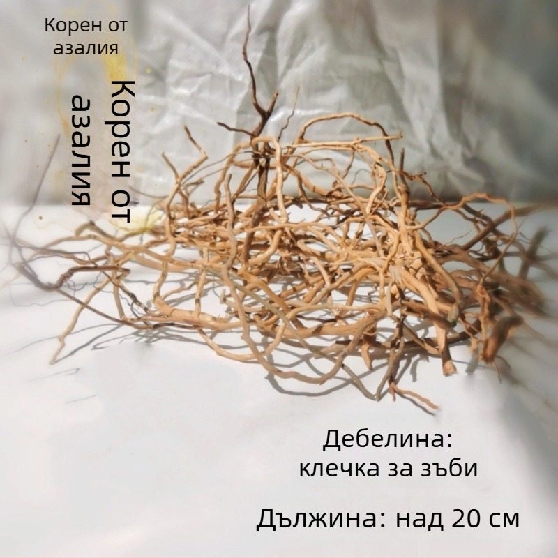 Аквариумен ландшафт комплект: корени рододендрон, потънал дървен материал, дебели и тънки клони и водна растителност