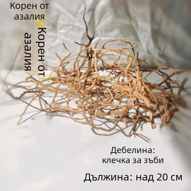 Аквариумен ландшафт комплект: корени рододендрон, потънал дървен материал, дебели и тънки клони и водна растителност