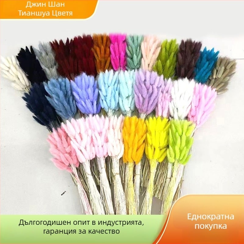 Сушени зайчеопашка треви и вечни цветя за DIY букети, минималистични цветни аранжировки.