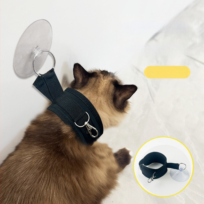 Katės vonios laikiklis su anti-skrabymo ir anti-movimento funkcijomis, prekinis ženklas Inspector Wang, dėžėje 200 vnt, skirta katėms priežiūrai ir valymui