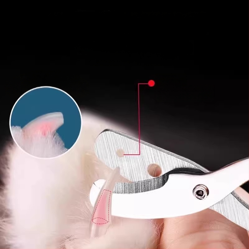 Kačių ir šunų nagų žirklės pradedantiesiems