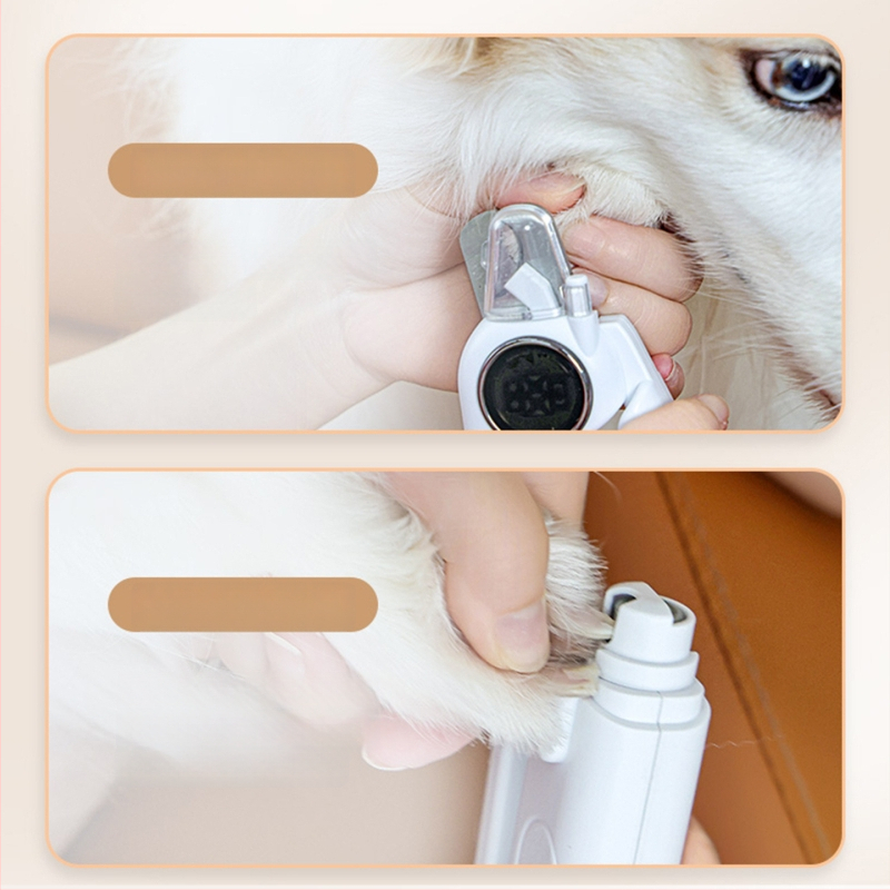 Naminių gyvūnėlių nagų žirklės su LED apšvietimu katėms ir šunims, nagų failas ir poliravimas