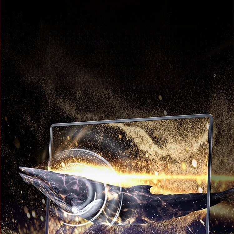 Privaatse ekraani kaitse sülearvutitele, lauaarvutitele ja tahvelarvutitele | PET materjal | 25° anti-vaatamine | Klippide abil