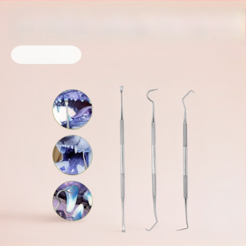 Nerūdijančio plieno dantų įrankių rinkinys naminiams gyvūnėliams — burnos sondos ir akmenų valymo įrankis, 55 g