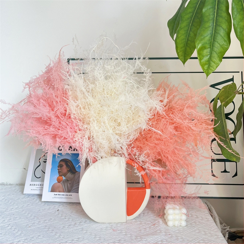 Висящо декоративно цвете, вечни цветя, сорт Аспарагус — Beautiful flowers