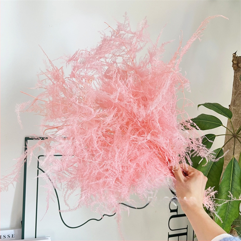 Висящо декоративно цвете, вечни цветя, сорт Аспарагус — Beautiful flowers