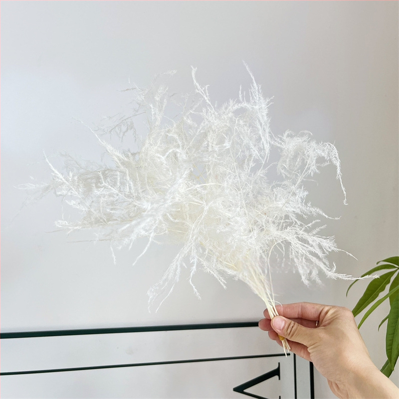 Висящо декоративно цвете, вечни цветя, сорт Аспарагус — Beautiful flowers