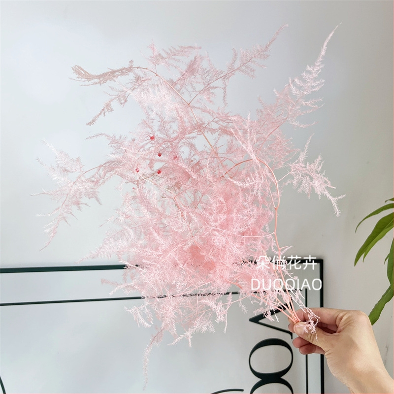 Висящо декоративно цвете, вечни цветя, сорт Аспарагус — Beautiful flowers