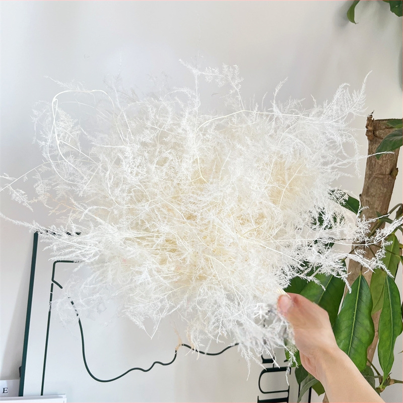 Висящо декоративно цвете, вечни цветя, сорт Аспарагус — Beautiful flowers