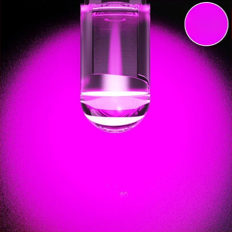 LED DRL automobiliui su didelio ryškumo objektyvu, 12V, T10 kištukas, W5W lemputė registracijos numeriui