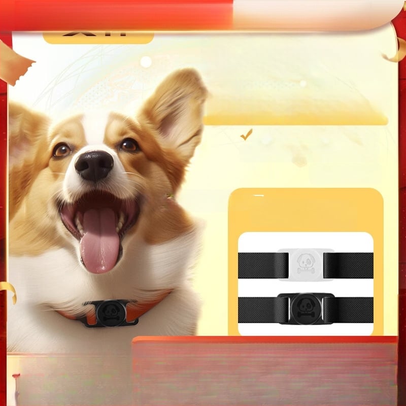 Šuns GPS anti-pasimetimo lokatorius – mini, atsparus vandeniui apykaklė (GPS, mini, atsparus vandeniui)