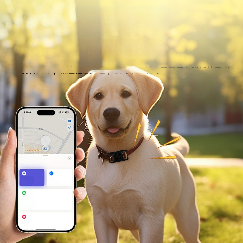 Šuns GPS anti-pasimetimo lokatorius – mini, atsparus vandeniui apykaklė (GPS, mini, atsparus vandeniui)