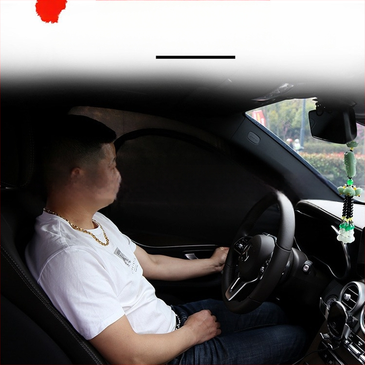 Cortină din plasă pentru geamul mașinii – protecție împotriva țânțarilor, intimitate, umbrire, respirabilă, transparentă, izolație termică; potrivită pentru sedan și SUV; Material: plasă poliesterică; Montură: tip suspendat