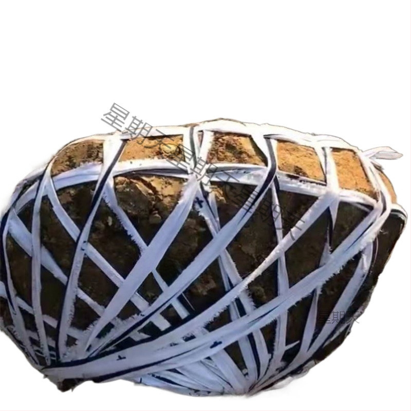 Laika izturīgas auduma lentes saistīšanai, šņorju un plakanās siksnas mājsaimniecībai, augļu koka zariem vilkšanai