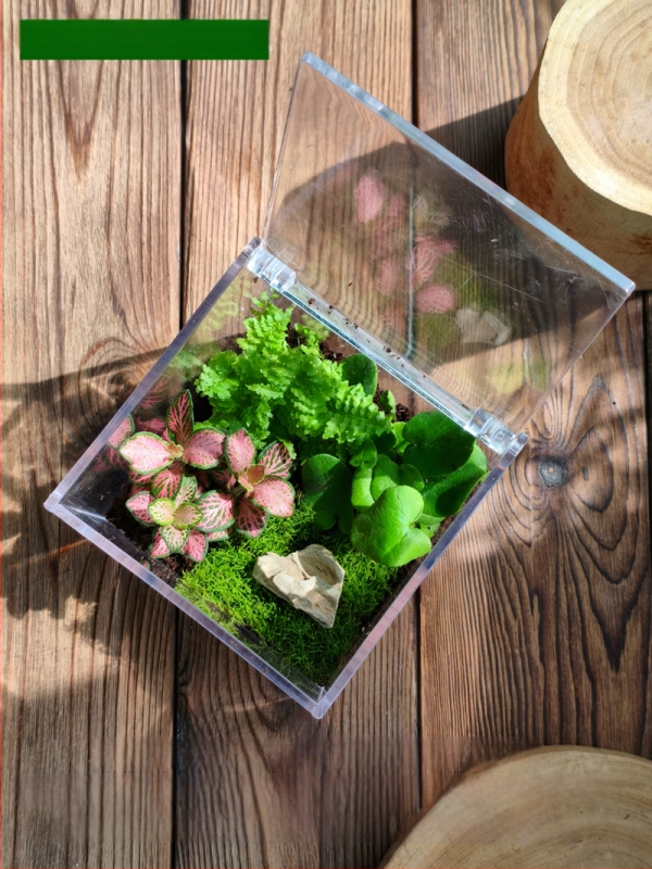Комплект мъхов микро пейзаж – квадратна кутия, настолно растение, материал от копринени цветя, варианта tortoise shell, за сватби