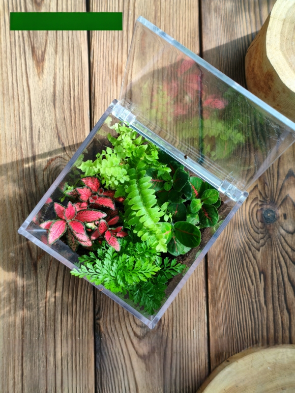 Комплект мъхов микро пейзаж – квадратна кутия, настолно растение, материал от копринени цветя, варианта tortoise shell, за сватби
