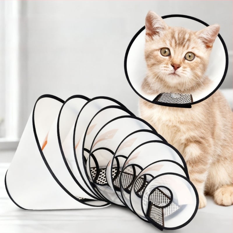 елизабетова яка за котки и кучета — защита от ухапване и облизване, след стерилизация