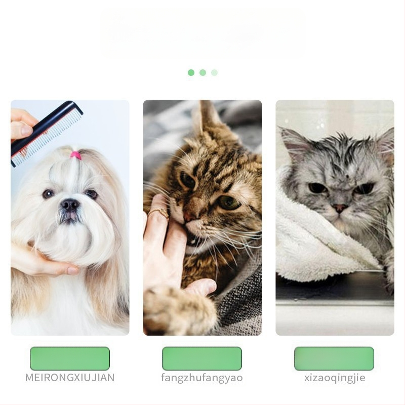 елизабетова яка за котки и кучета — защита от ухапване и облизване, след стерилизация