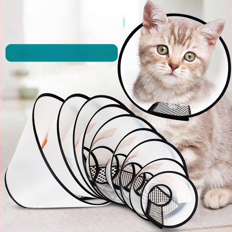 елизабетова яка за котки и кучета — защита от ухапване и облизване, след стерилизация