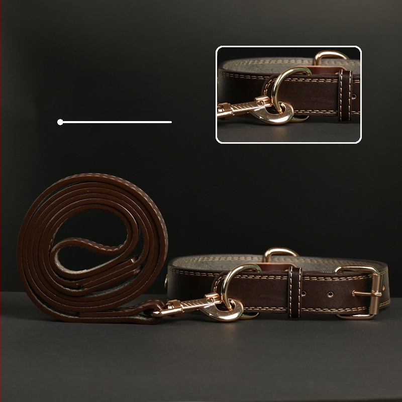 Κολάρο σκύλου – Δέρμα βοδιού, Πολυεπίπεδο σχέδιο, Δερμάτινο μενταγιόν (Μάρκα: Unique, Υλικό: Δέρμα βοδιού, Μενταγιόν: Δέρμα)