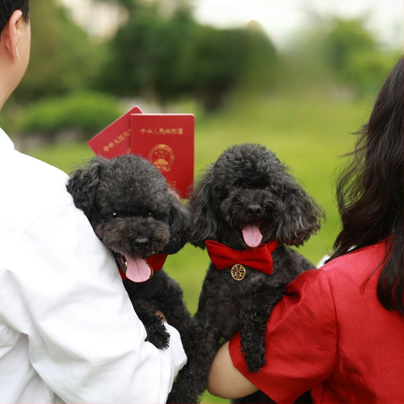 Котешки нашийник с папийонка от мохер – за котки, международен износ, фабрично директен продукт