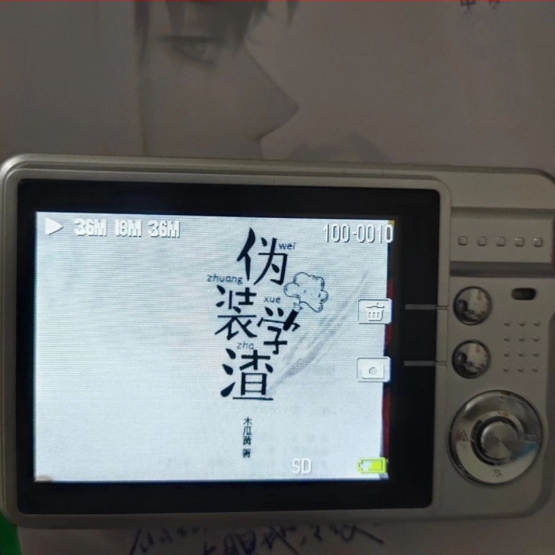 Rong Lai P20 CCD skaitmeninė kamera: 48 MP jutiklis, 8x optinis priartinimas, integruota kamera, optinė vaizdo stabilizacija