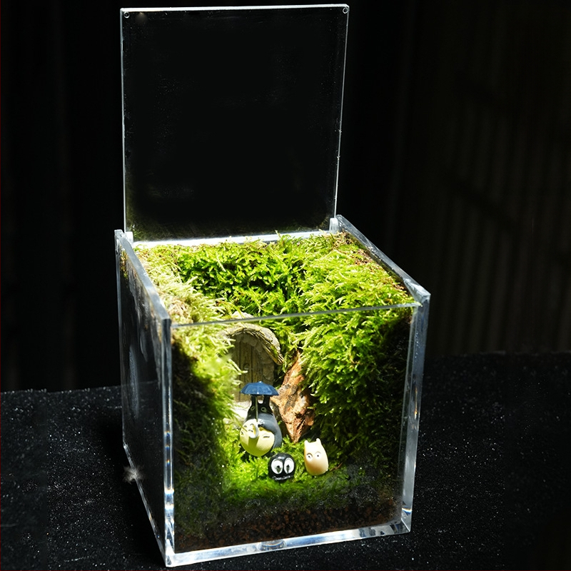 Φυτό γραφείου με μικρο-τοπιογραφία από βρύα – ακρυλικό, στυλ λιβαδιού, χειροποίητο, αφρώδες κουτί συσκευασίας, έτοιμο για δώρο