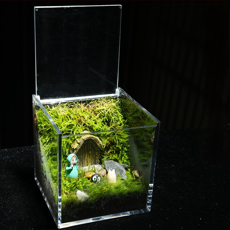 Φυτό γραφείου με μικρο-τοπιογραφία από βρύα – ακρυλικό, στυλ λιβαδιού, χειροποίητο, αφρώδες κουτί συσκευασίας, έτοιμο για δώρο