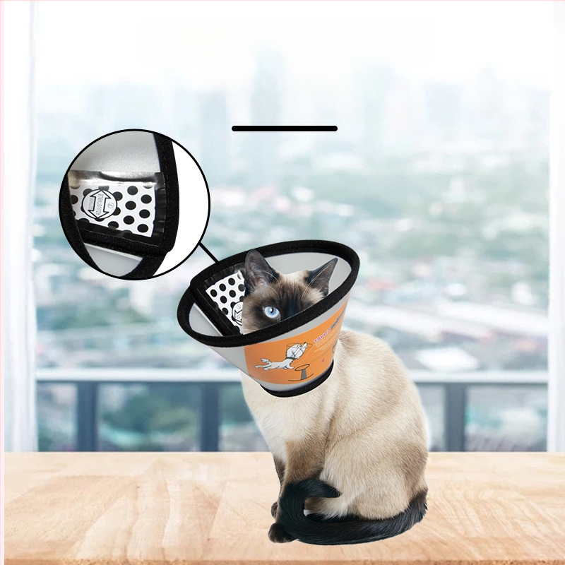 Guler Elizabethan pentru pisici și câini, protecție postoperatorie, cap de protecție împotriva zgârieturilor și mușcăturilor, Material PP/PE; Categoria Elizabeth Circle; Ambalare 100 buc.; Etichetă privată licențiată; Brand: Very good brand