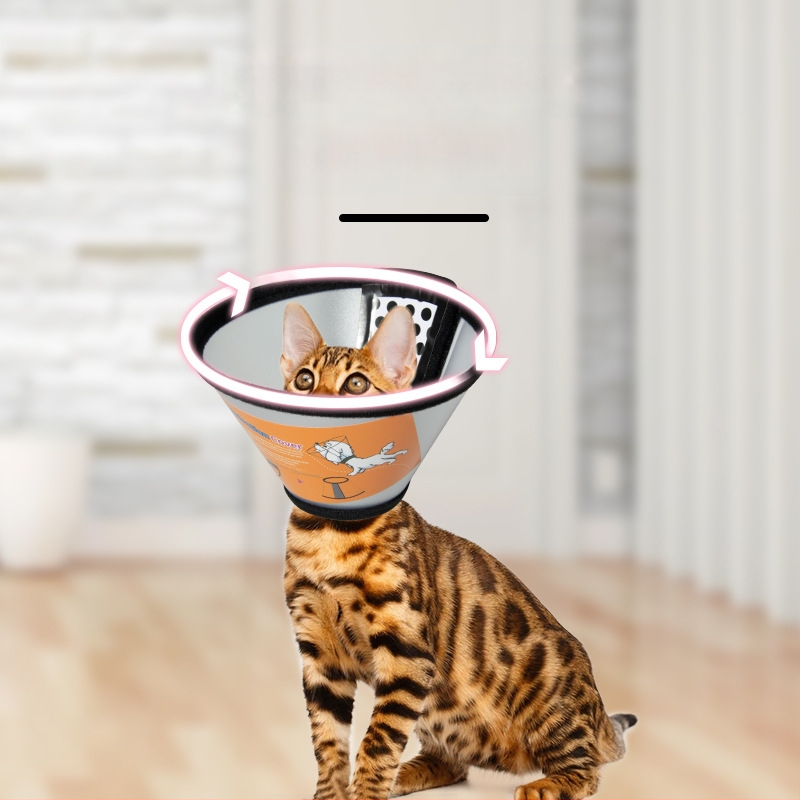 Guler Elizabethan pentru pisici și câini, protecție postoperatorie, cap de protecție împotriva zgârieturilor și mușcăturilor, Material PP/PE; Categoria Elizabeth Circle; Ambalare 100 buc.; Etichetă privată licențiată; Brand: Very good brand